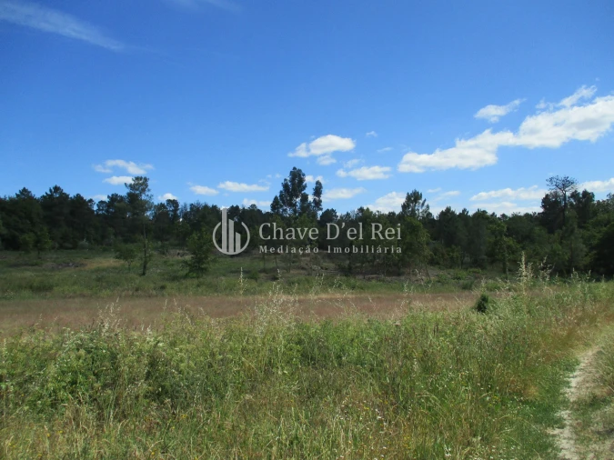 Quinta T0 para Venda em Pindo Foto 9