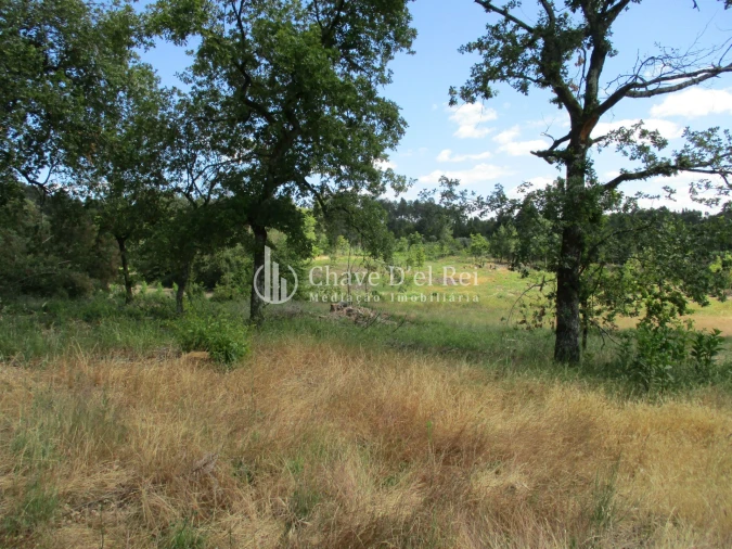 Quinta T0 para Venda em Pindo Foto 5