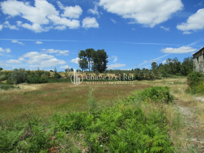 Quinta T0 para Venda em Pindo Foto 14