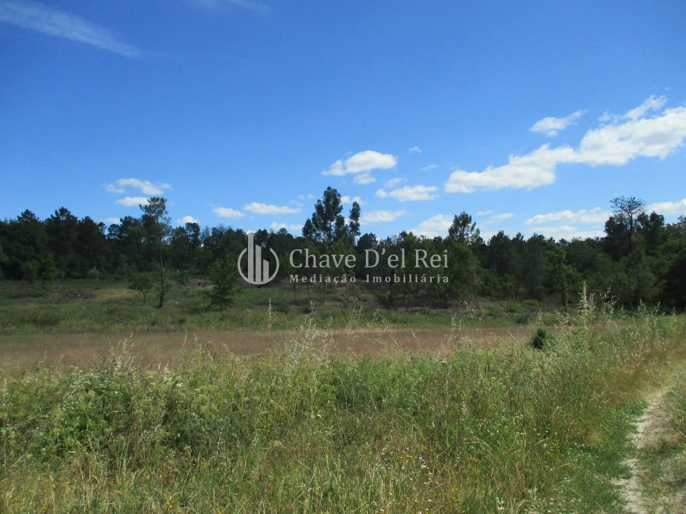 Quinta T0 para Venda em Pindo Foto 9