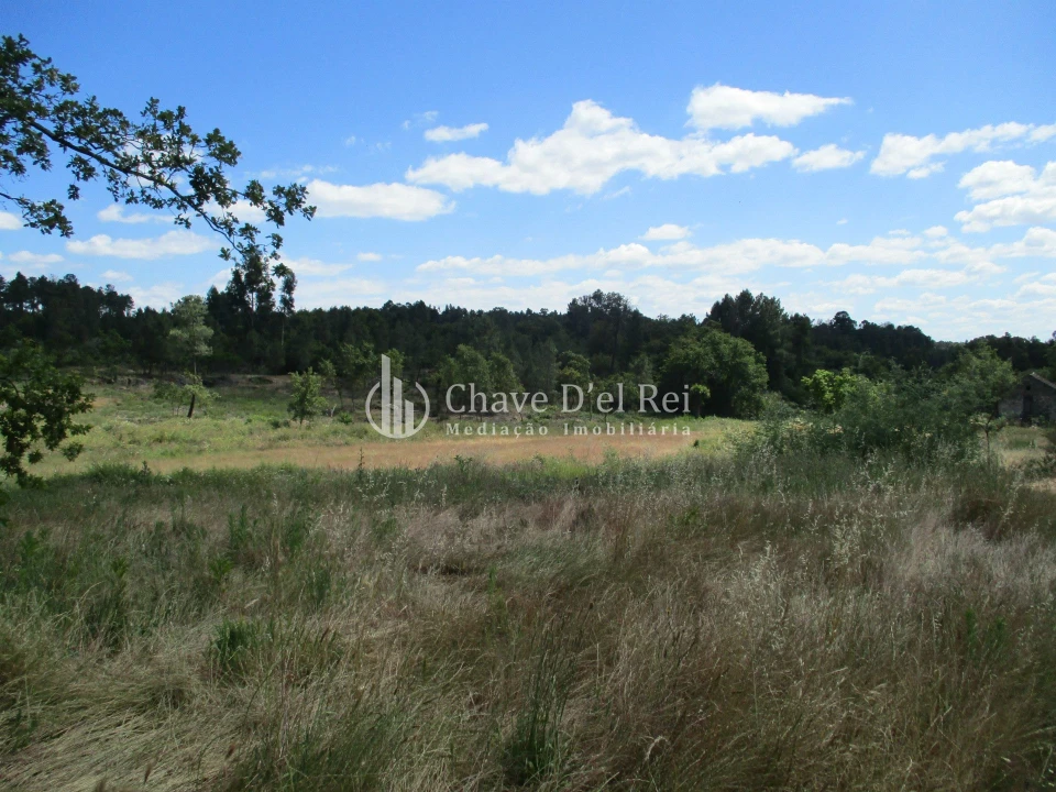 Quinta T0 para Venda em Pindo Foto 6