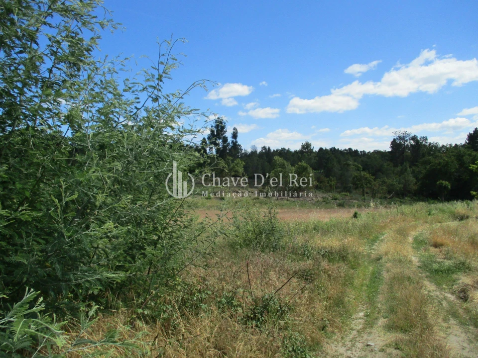 Quinta T0 para Venda em Pindo Foto 8