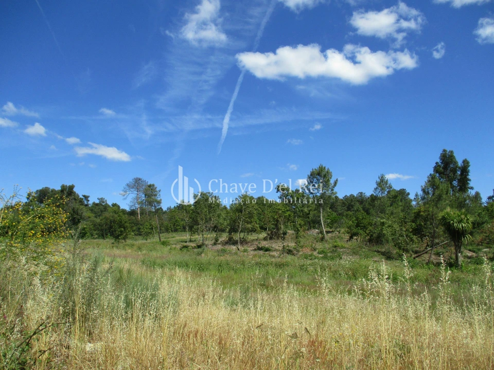 Quinta T0 para Venda em Pindo Foto 19