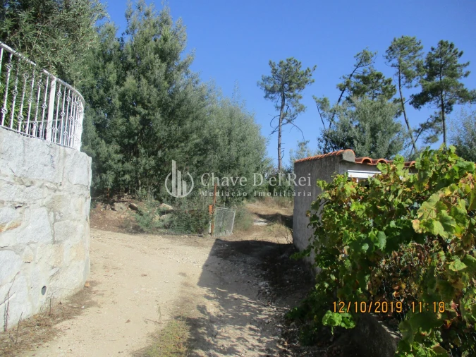 Terreno para Venda em Santiago de Cassurrães e Póvoa de Cervães Foto 5