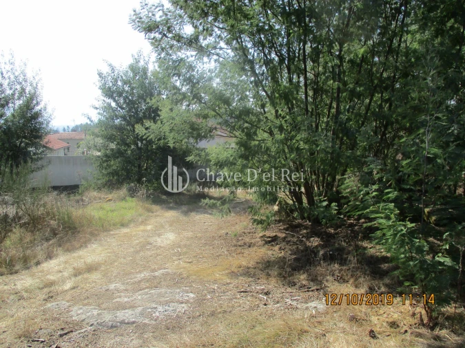 Terreno para Venda em Santiago de Cassurrães e Póvoa de Cervães Foto 2