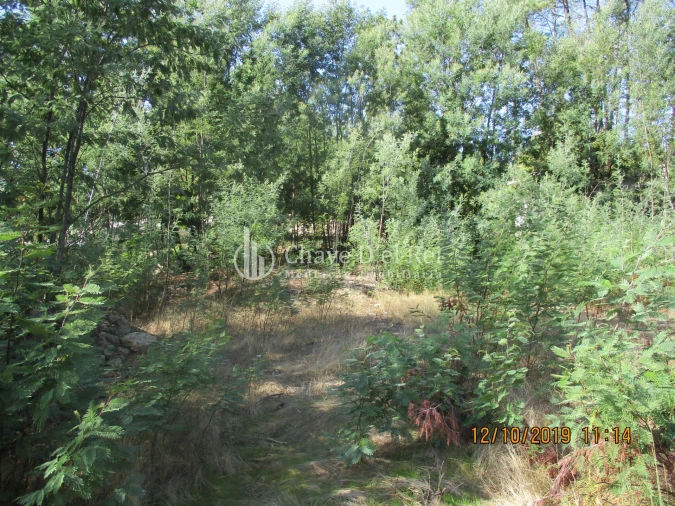 Terreno para Venda em Santiago de Cassurrães e Póvoa de Cervães Foto 3