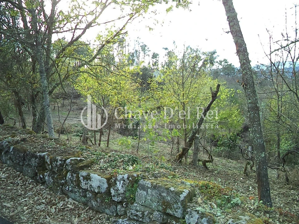 Quinta T3 para Venda em Ribafeita Foto 5