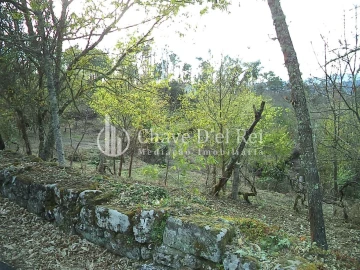 Quinta T3 para Venda em Ribafeita