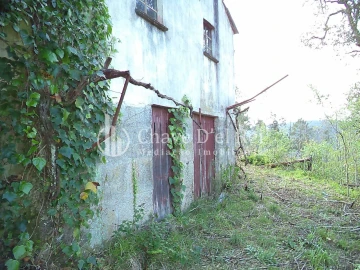 Quinta T3 para Venda em Ribafeita