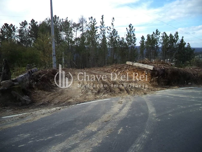 Quinta T3 para Venda em Ribafeita Foto 4
