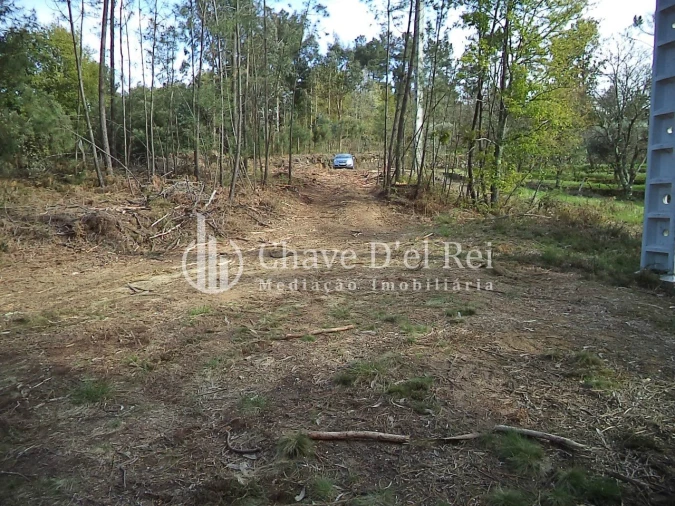 Quinta T3 para Venda em Ribafeita Foto 3