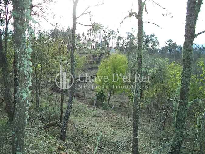 Quinta T3 para Venda em Ribafeita Foto 6