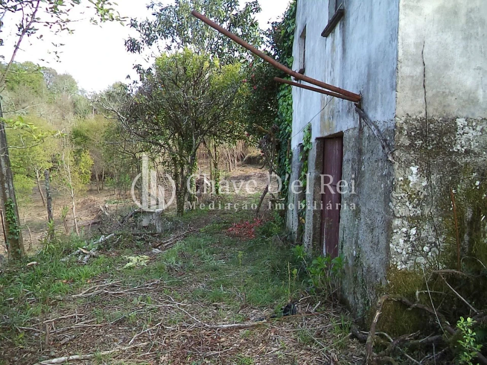 Quinta T3 para Venda em Ribafeita Foto 2
