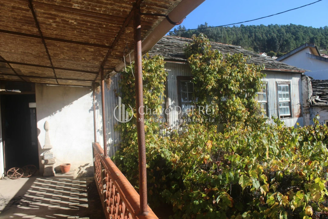 Quinta T0 para Venda em Parada de Ester e Ester Foto 2