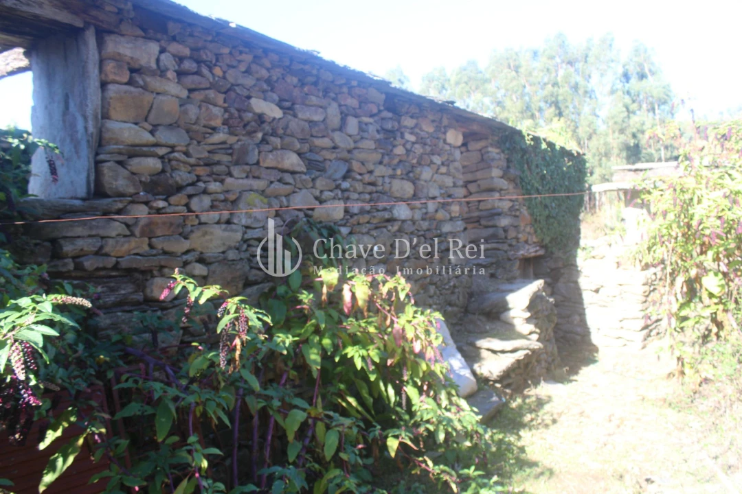 Quinta T0 para Venda em Parada de Ester e Ester Foto 35