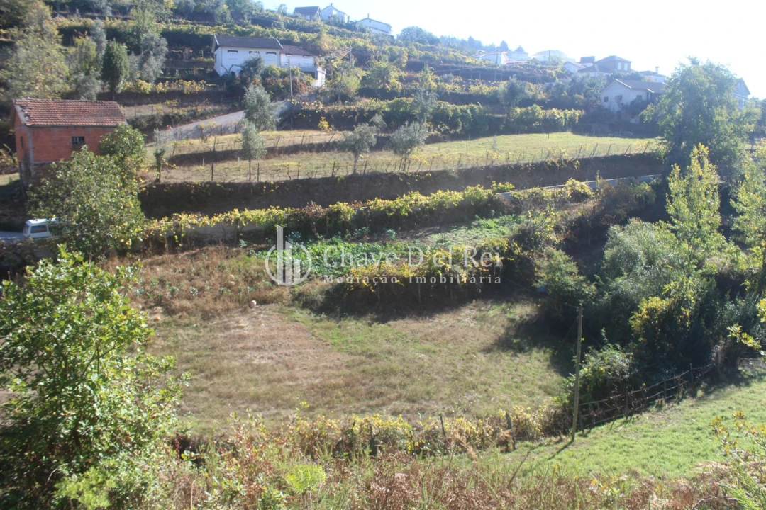Quinta T0 para Venda em Parada de Ester e Ester Foto 28