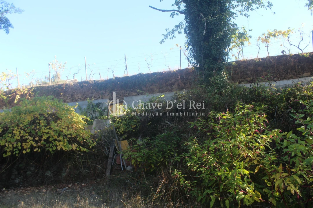 Quinta T0 para Venda em Parada de Ester e Ester Foto 41