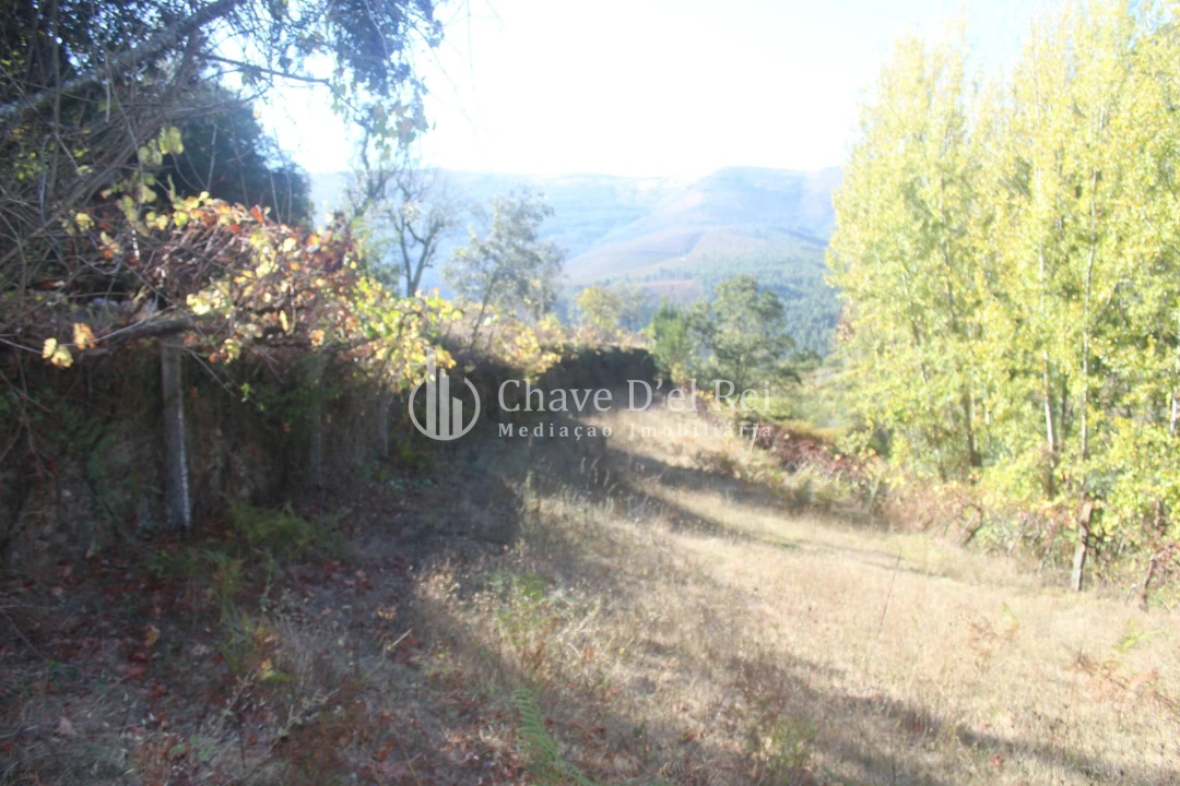 Quinta T0 para Venda em Parada de Ester e Ester Foto 42