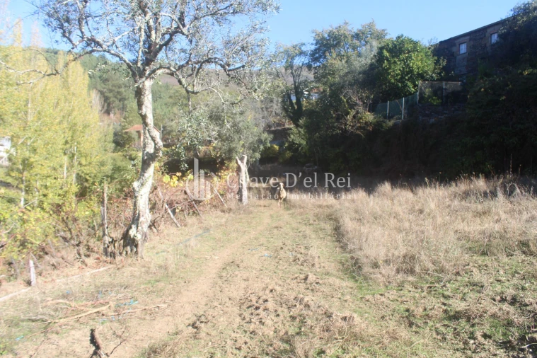 Quinta T0 para Venda em Parada de Ester e Ester Foto 40