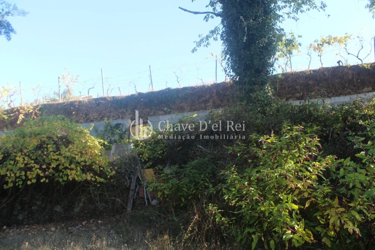 Quinta T0 para Venda em Parada de Ester e Ester Foto 41