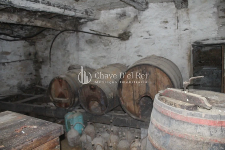 Quinta T0 para Venda em Parada de Ester e Ester Foto 14