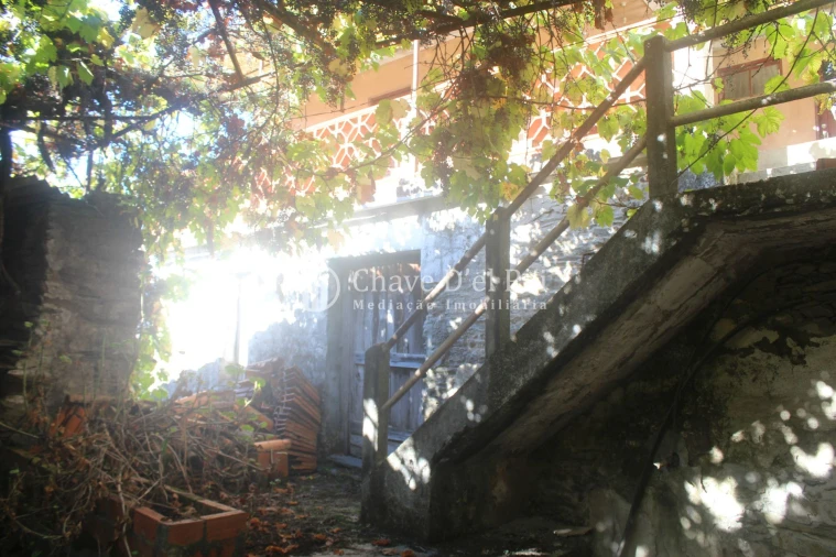 Quinta T0 para Venda em Parada de Ester e Ester Foto 6