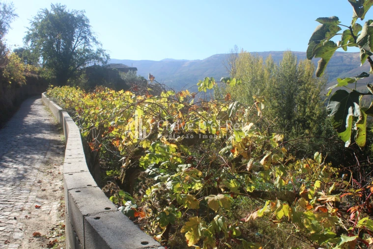 Quinta T0 para Venda em Parada de Ester e Ester Foto 31