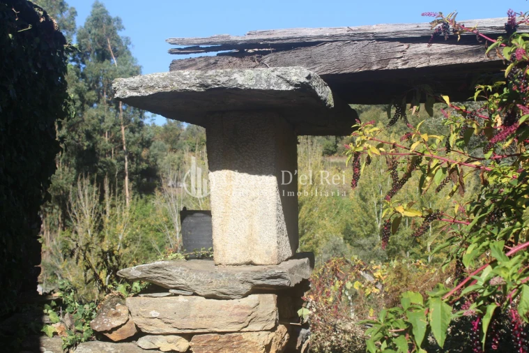 Quinta T0 para Venda em Parada de Ester e Ester Foto 36