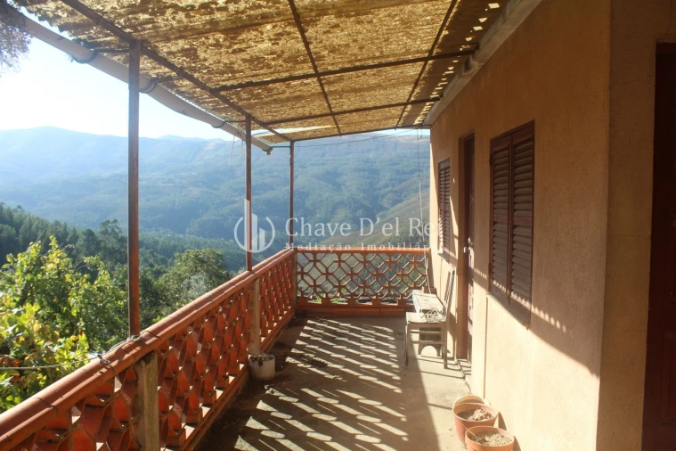 Quinta T0 para Venda em Parada de Ester e Ester Foto 3