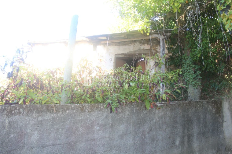 Quinta T0 para Venda em Parada de Ester e Ester Foto 32