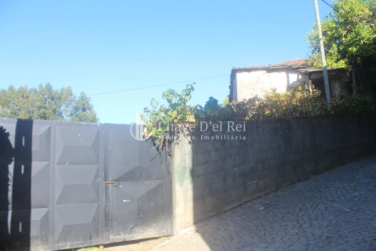 Quinta T0 para Venda em Parada de Ester e Ester Foto 33