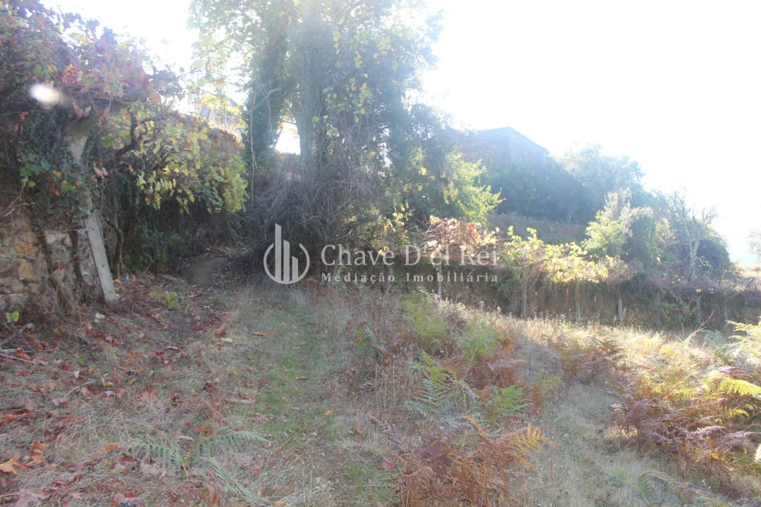 Quinta T0 para Venda em Parada de Ester e Ester Foto 43