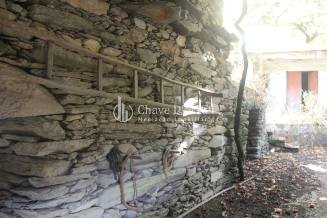 Quinta T0 para Venda em Parada de Ester e Ester Foto 12