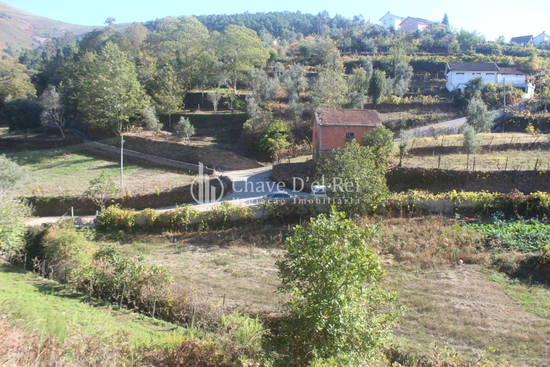 Quinta T0 para Venda em Parada de Ester e Ester Foto 29