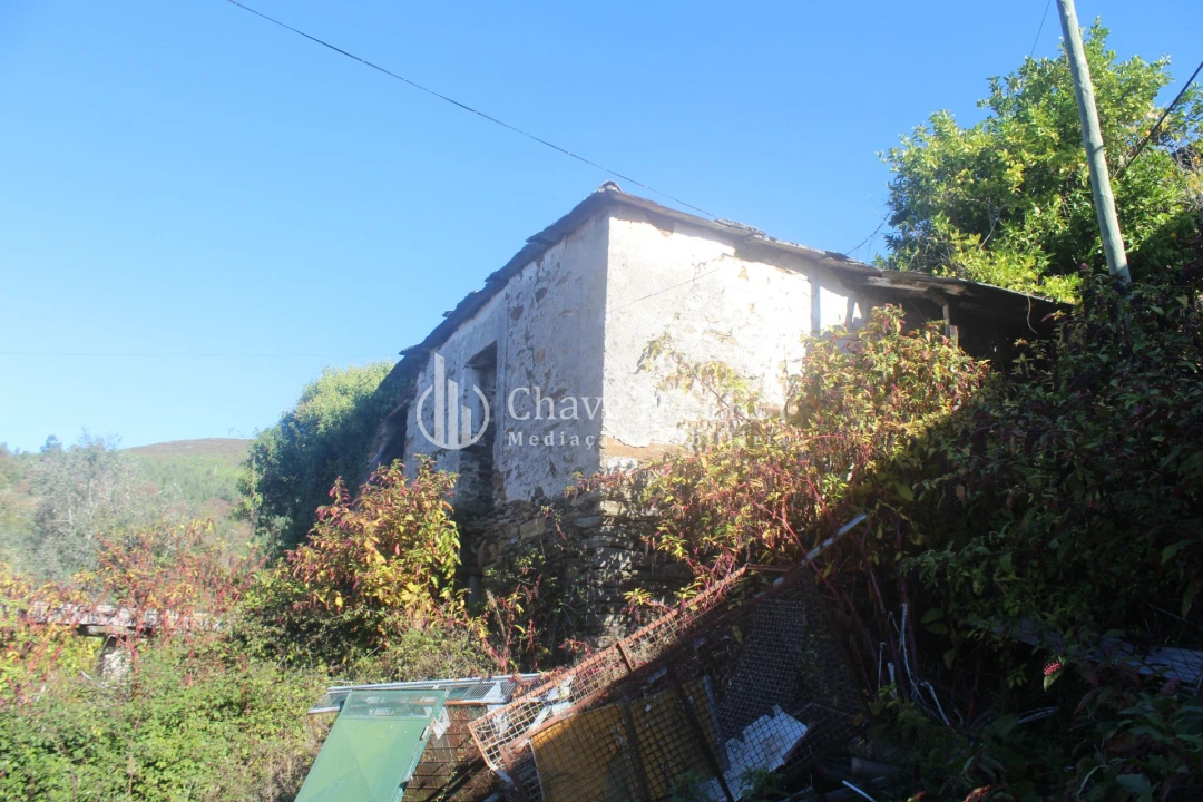 Quinta T0 para Venda em Parada de Ester e Ester Foto 34