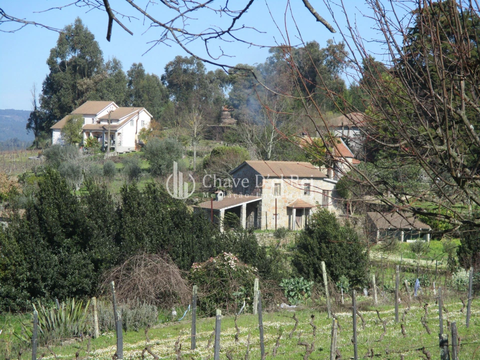 Quinta T5 para Venda em Fornos de Maceira Dão Foto 1