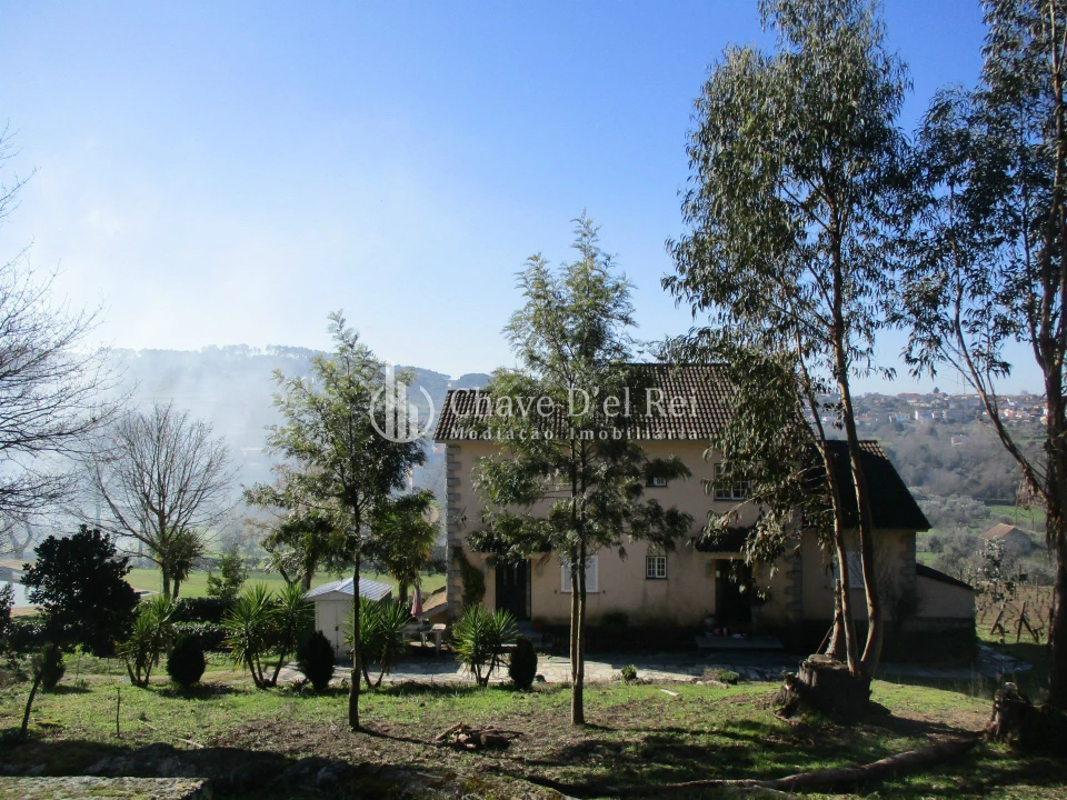 Quinta T5 para Venda em Fornos de Maceira Dão Foto 6