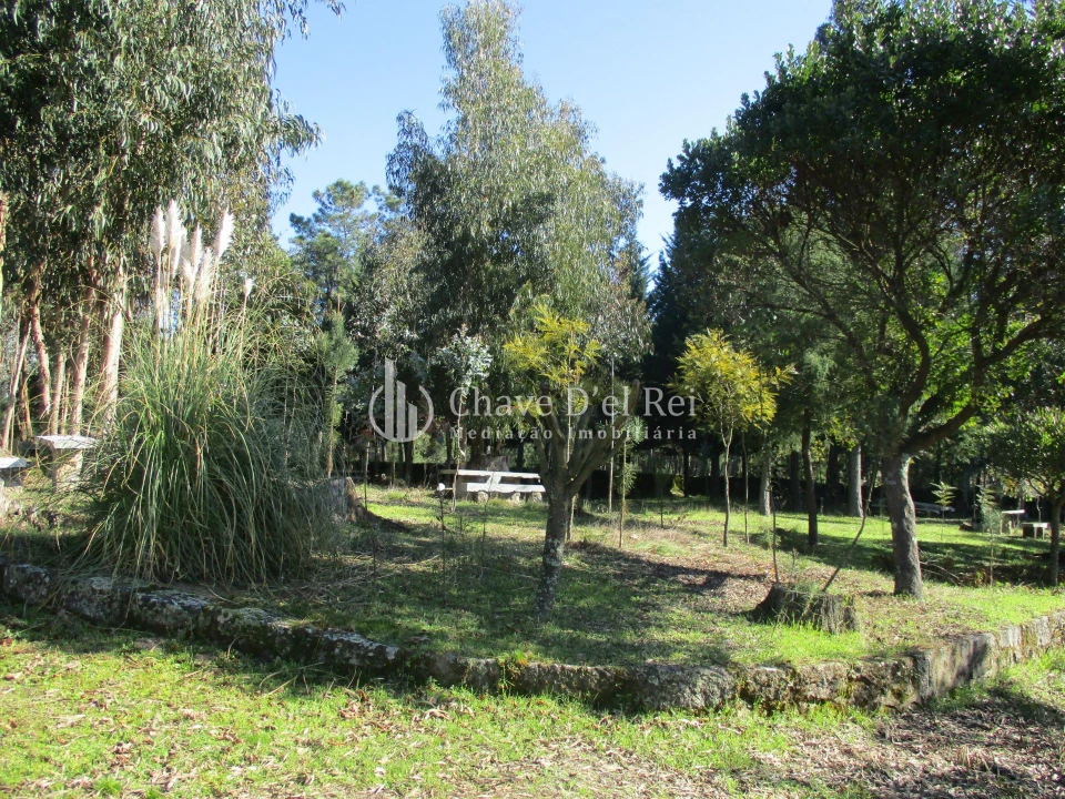 Quinta T5 para Venda em Fornos de Maceira Dão Foto 43