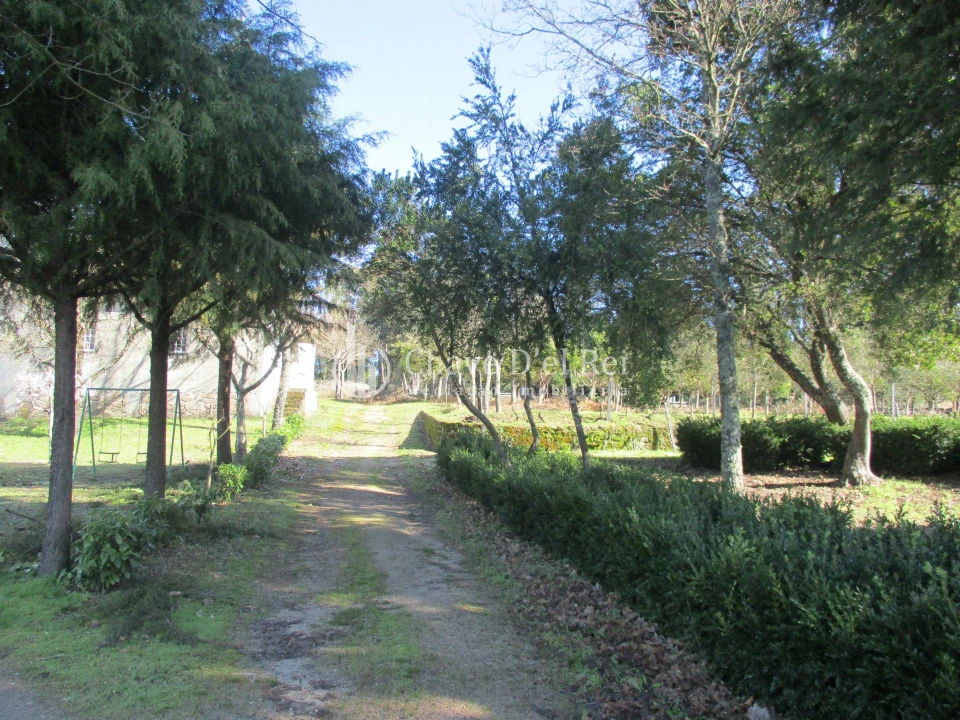 Quinta T5 para Venda em Fornos de Maceira Dão Foto 25