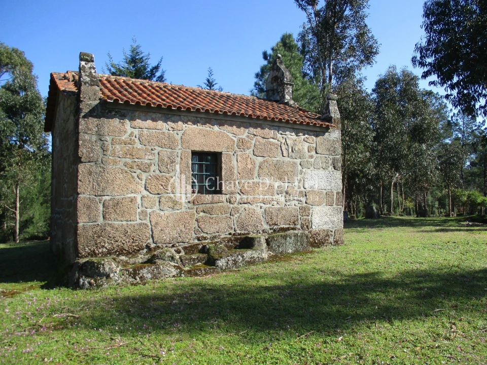 Quinta T5 para Venda em Fornos de Maceira Dão Foto 46