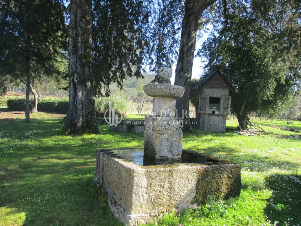 Quinta T5 para Venda em Fornos de Maceira Dão Foto 34