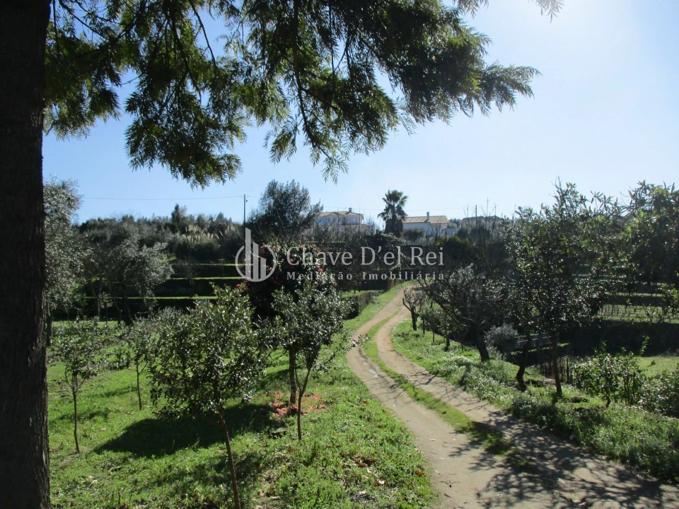 Quinta T5 para Venda em Fornos de Maceira Dão Foto 22