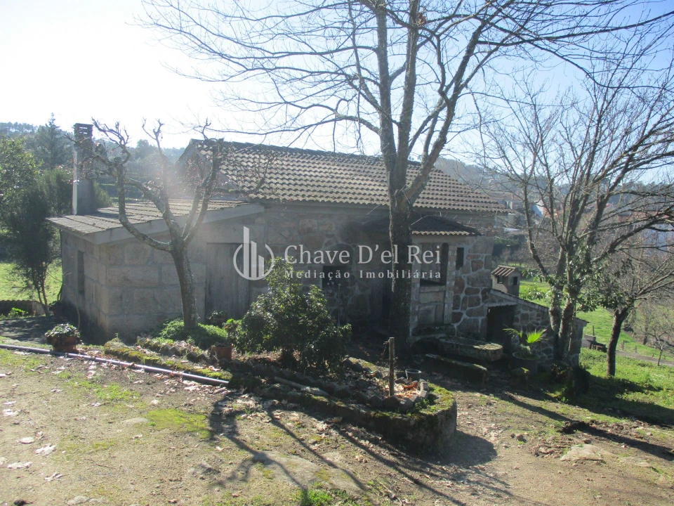 Quinta T5 para Venda em Fornos de Maceira Dão Foto 28