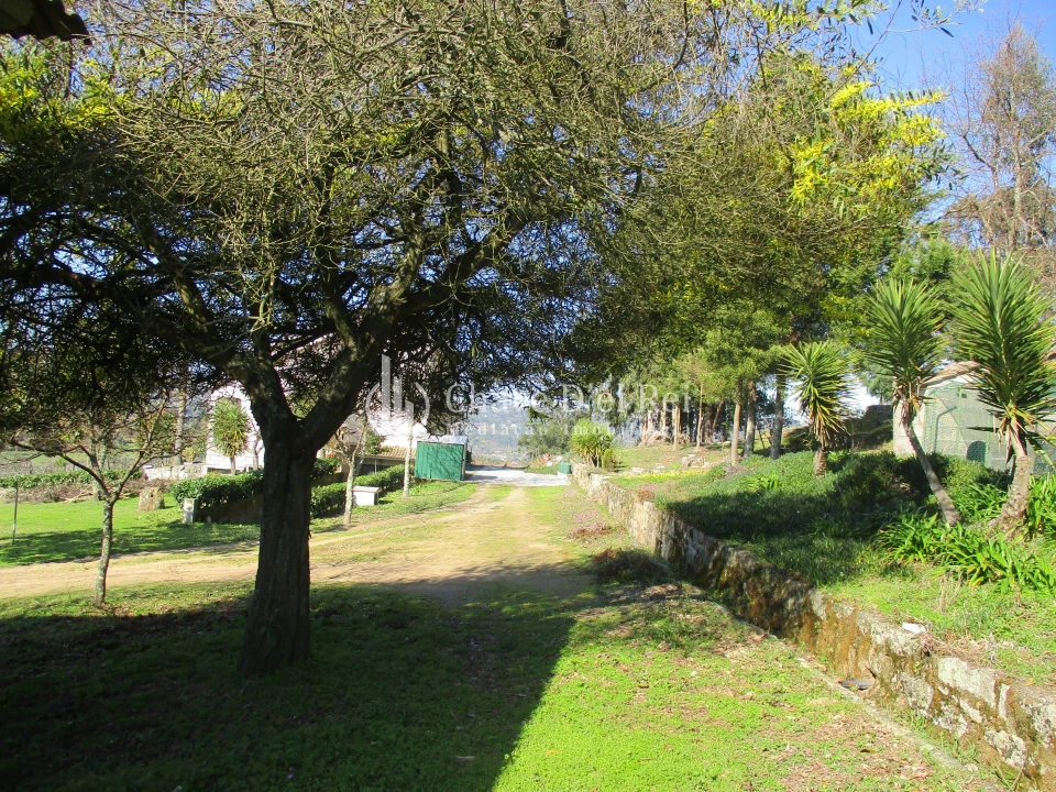Quinta T5 para Venda em Fornos de Maceira Dão Foto 40
