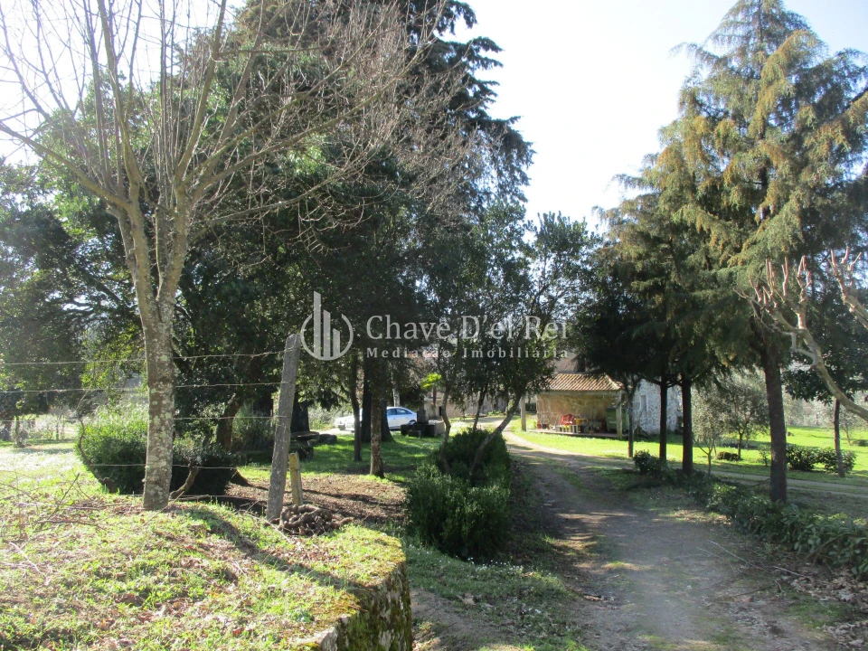 Quinta T5 para Venda em Fornos de Maceira Dão Foto 18