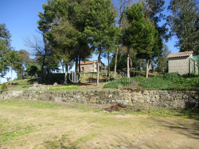 Quinta T5 para Venda em Fornos de Maceira Dão Foto 37
