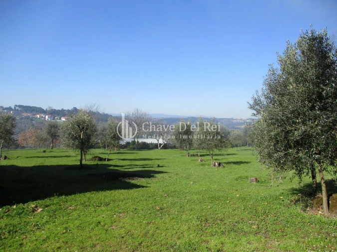 Quinta T5 para Venda em Fornos de Maceira Dão Foto 26