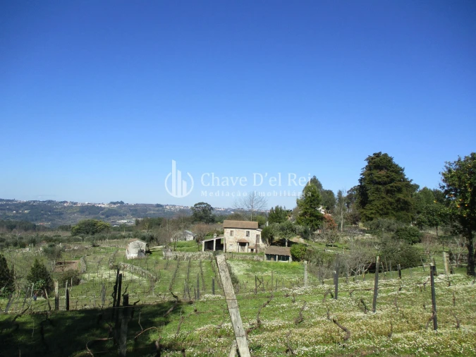 Quinta T5 para Venda em Fornos de Maceira Dão Foto 24