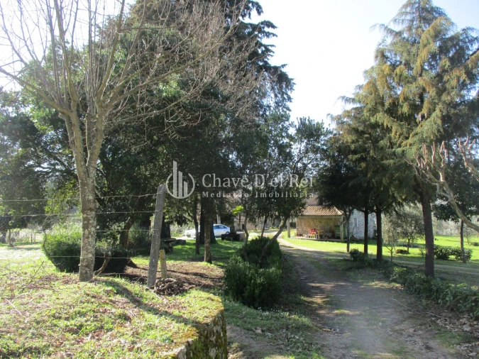 Quinta T5 para Venda em Fornos de Maceira Dão Foto 18