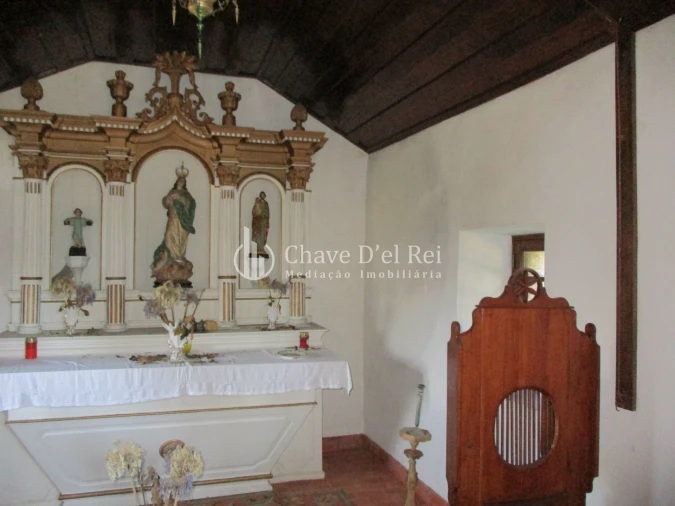 Quinta T5 para Venda em Fornos de Maceira Dão Foto 8